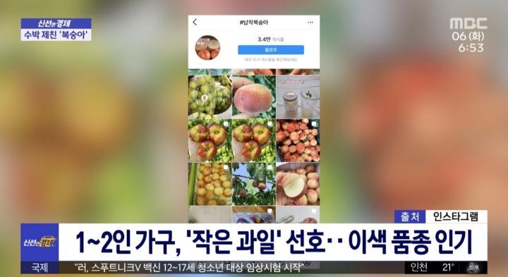 여름 과일 부동의 1위 수박을 제치다 | 인스티즈