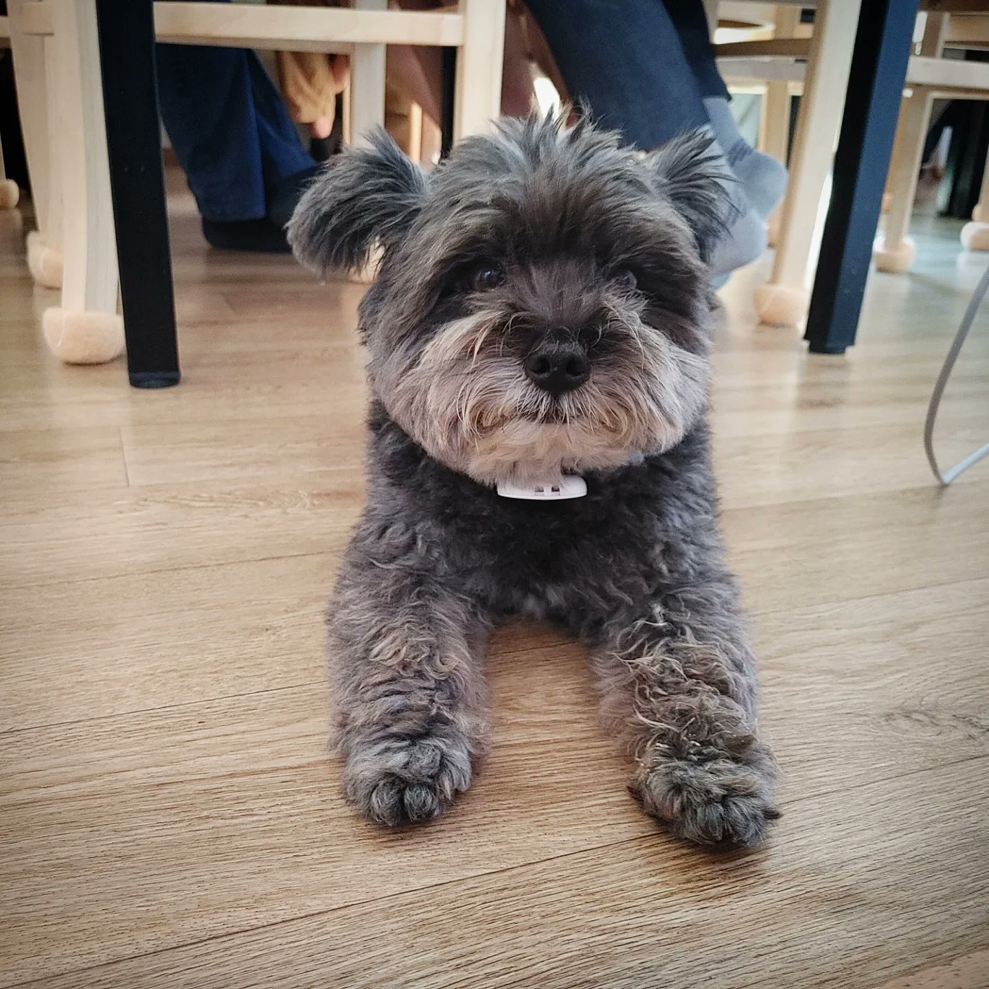 오늘자 문토리 | 인스티즈