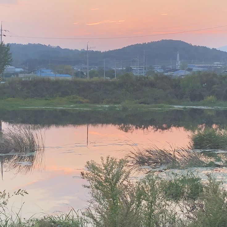 요새 진짜 느끼는 사람들이 많아지고 있는 것 | 인스티즈