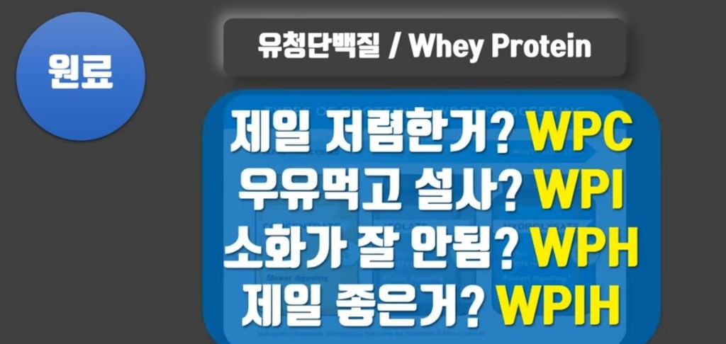 헬스 시리즈 11탄 하루 단백질 섭취량은? 프로틴 쉐이크에 대해 알아보자 | 인스티즈
