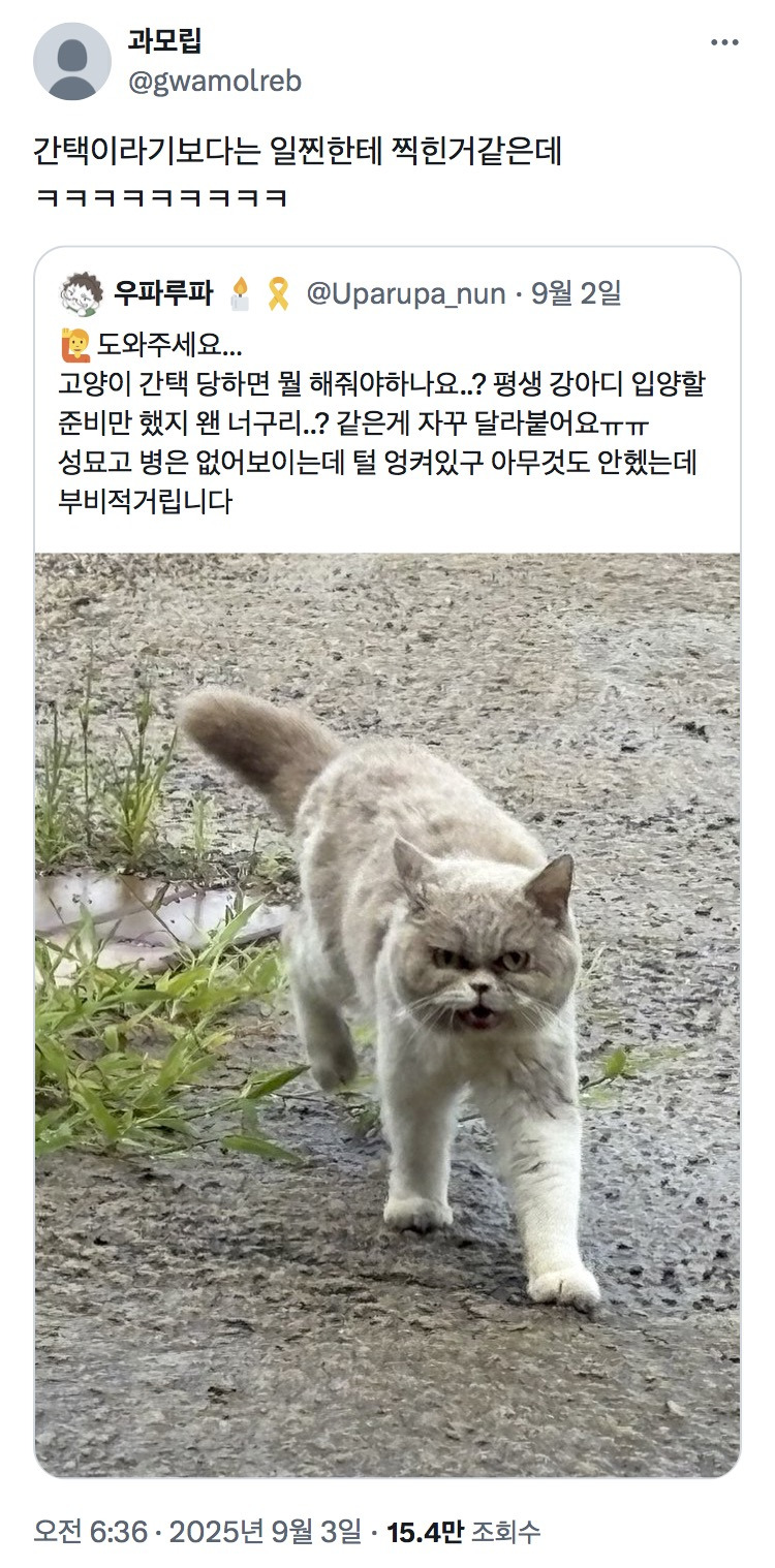 간택이라기보다는 일찐한테 찍힌거같은데.twt | 인스티즈