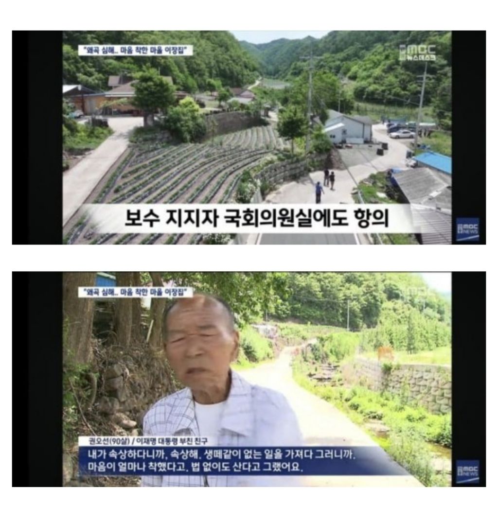 이재명 대통령 고향 마을잔치 취소 | 인스티즈