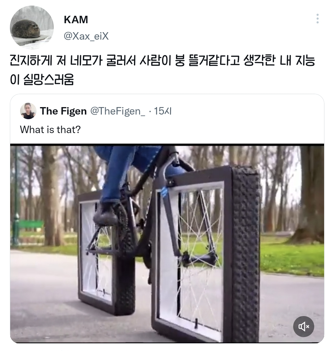진지하게 저 네모가 굴러서 사람이 붕 뜰거같다고 생각한 내 지능이 실망스러움.twt | 인스티즈