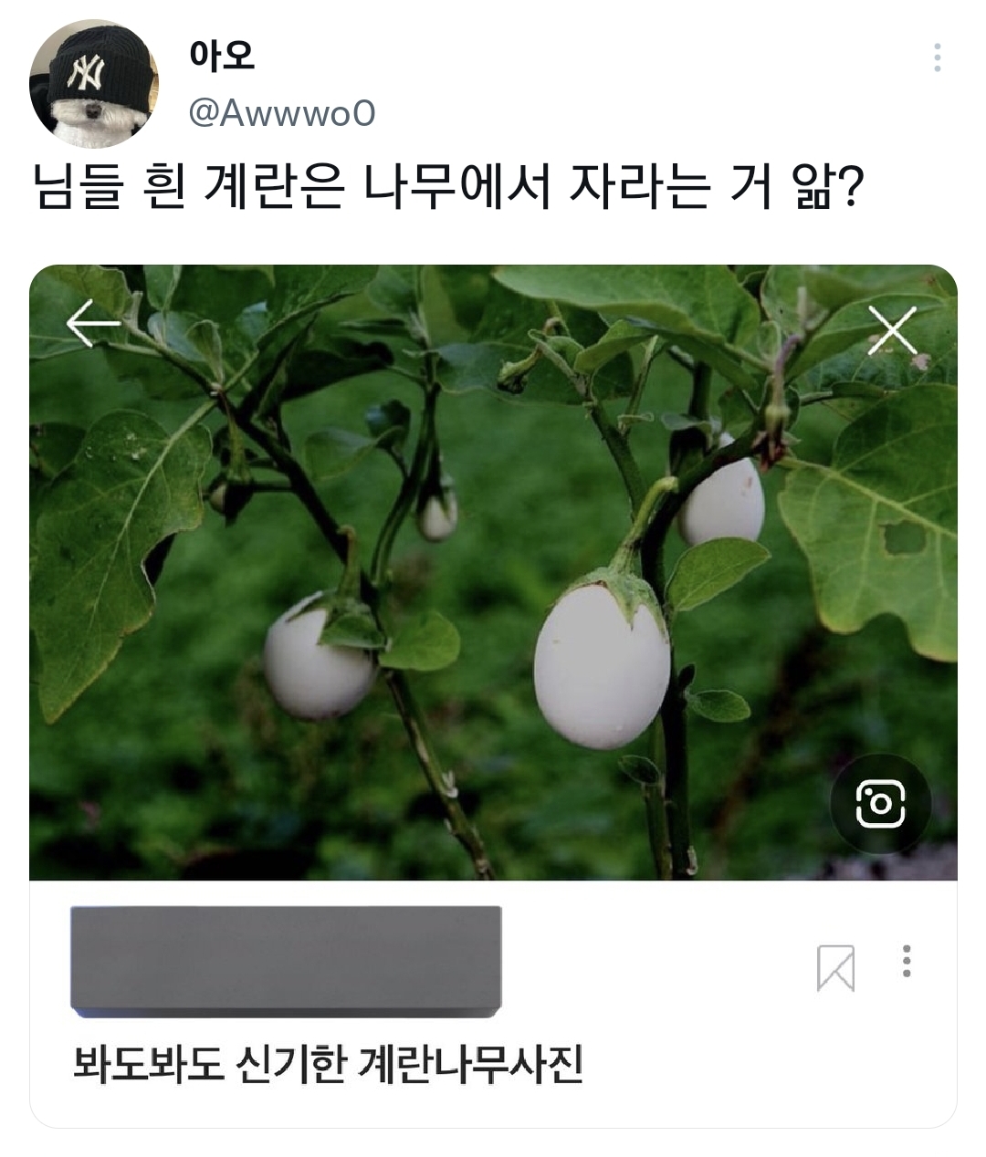 친구들한테 어이없는 구라치는게 너무 좋음 | 인스티즈