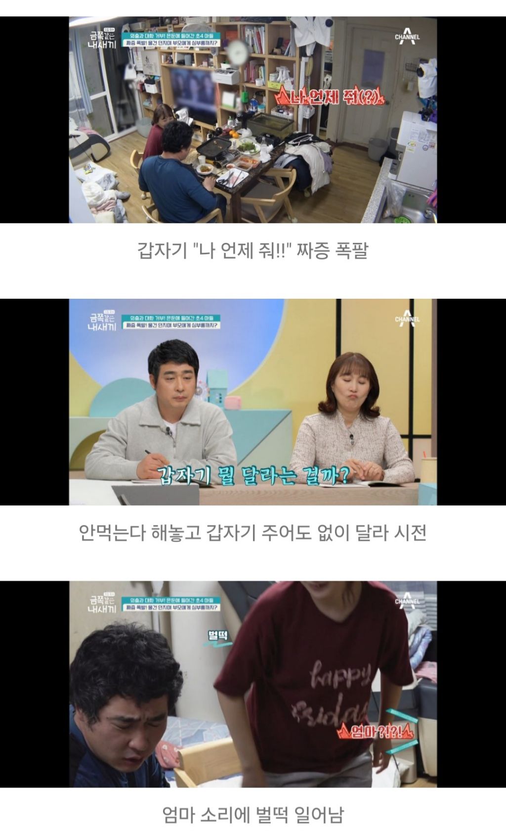 대한민국 가정집에서 아들들이 자라나는 과정 | 인스티즈