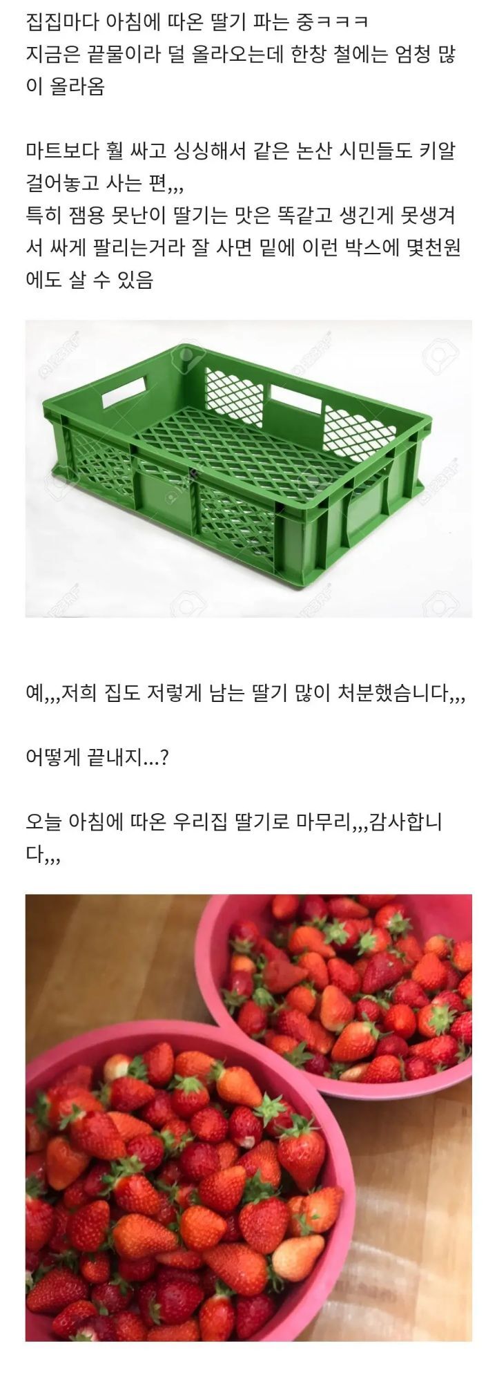 타지 사람들이 부러워 하는 특정 시기의 논산 당근마켓🥕 | 인스티즈