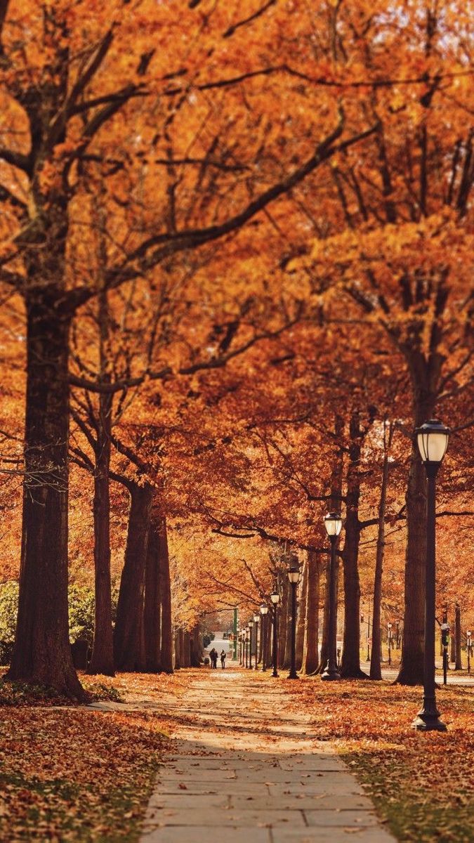 오늘로 정확히 100일 남은 것 | 인스티즈