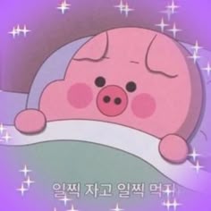 우리돼지소 이미지
