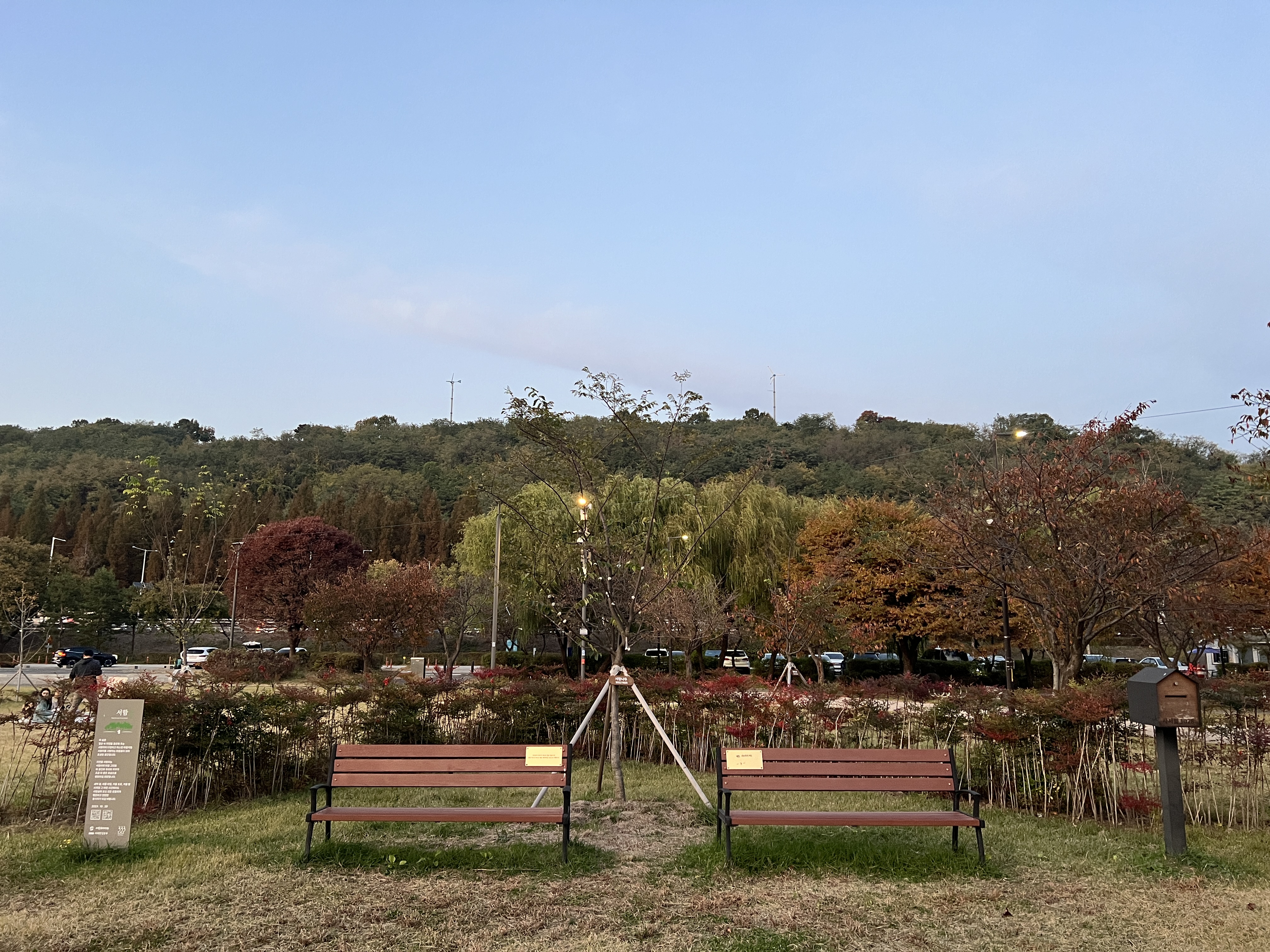 숲과함께 이미지