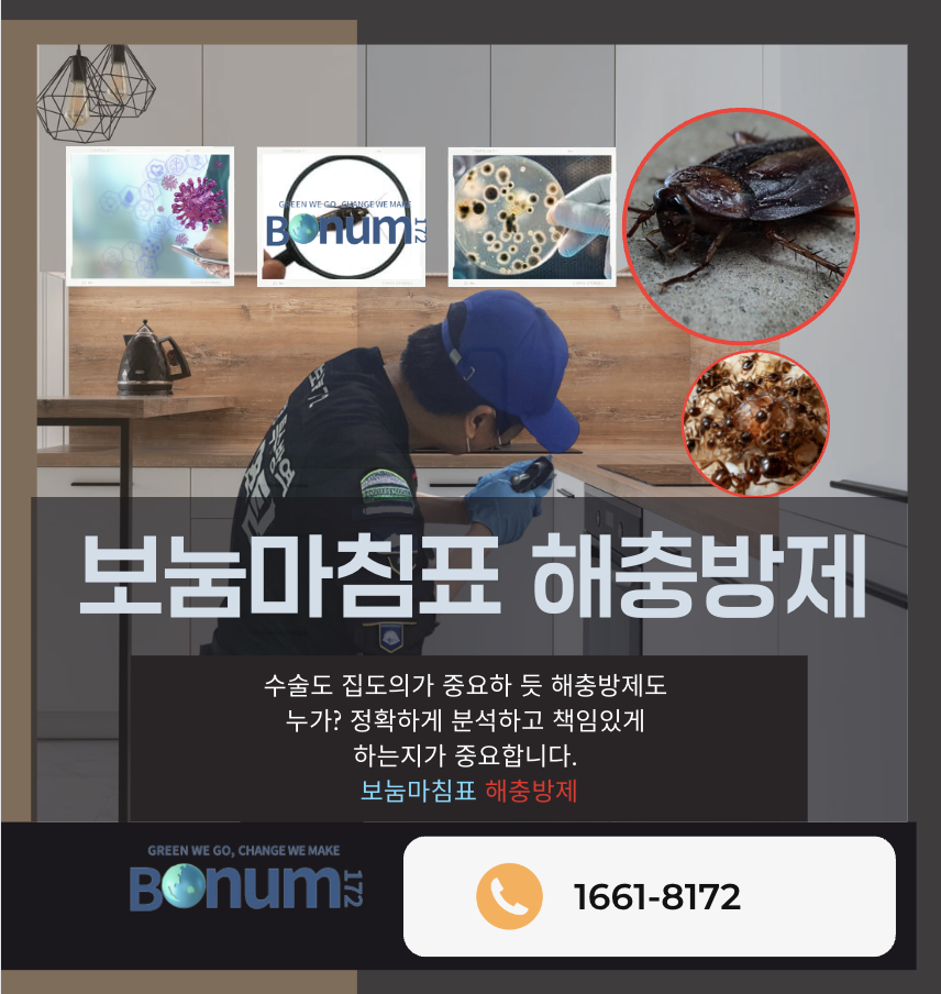 보눔172 이미지