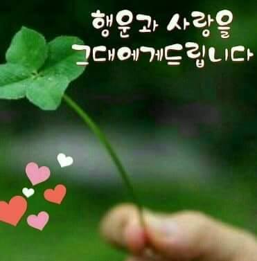 청양숭의청소년수련원 이미지