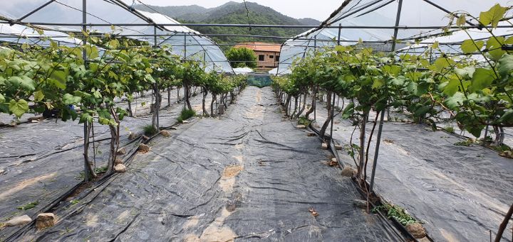 원일농산 이미지