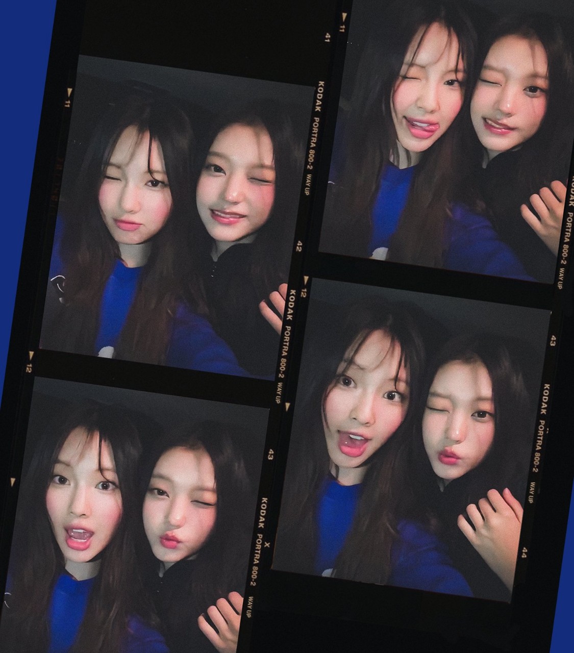 이뿌니 이미지