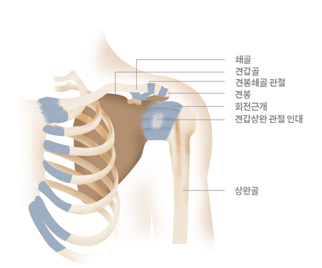 뼈 인대등 다쳐본 사람은 공감하는것 | 인스티즈