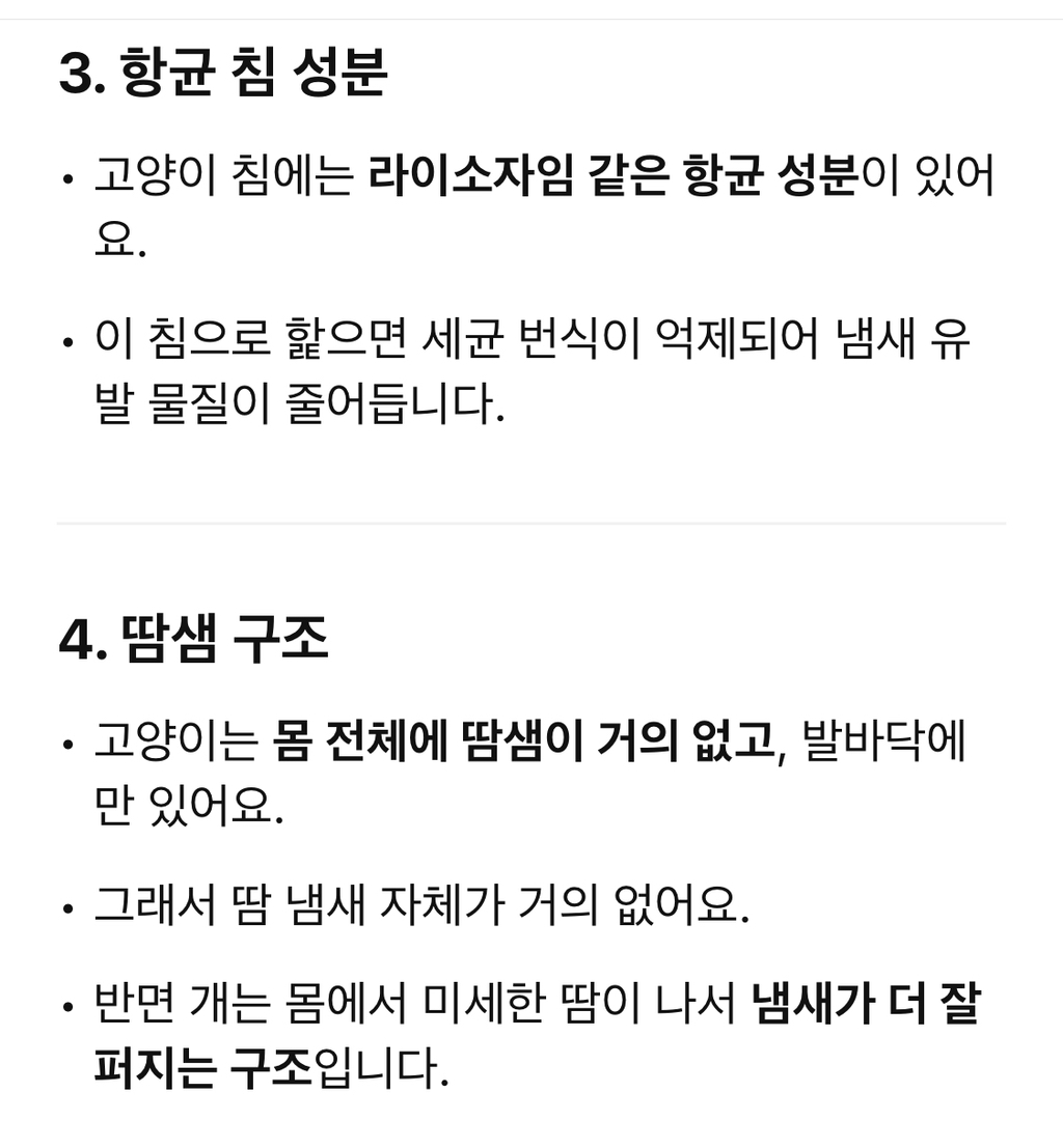 고양이 털 냄새가 신기한 집사 | 인스티즈