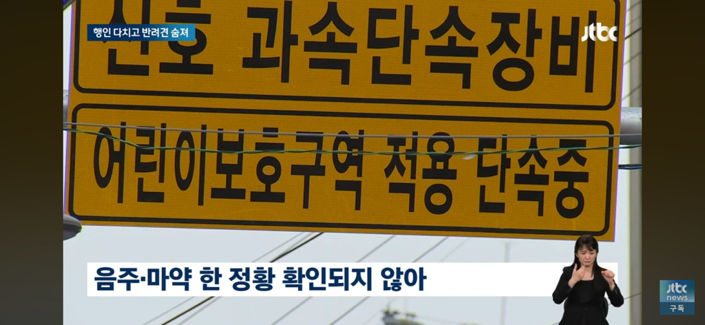 운전자 돌진에 반려견 사망…오열하는 견주…… | 인스티즈