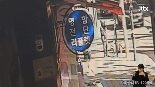 운전자 돌진에 반려견 사망…오열하는 견주…… | 인스티즈