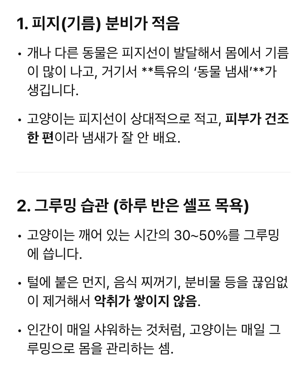 고양이 털 냄새가 신기한 집사 | 인스티즈