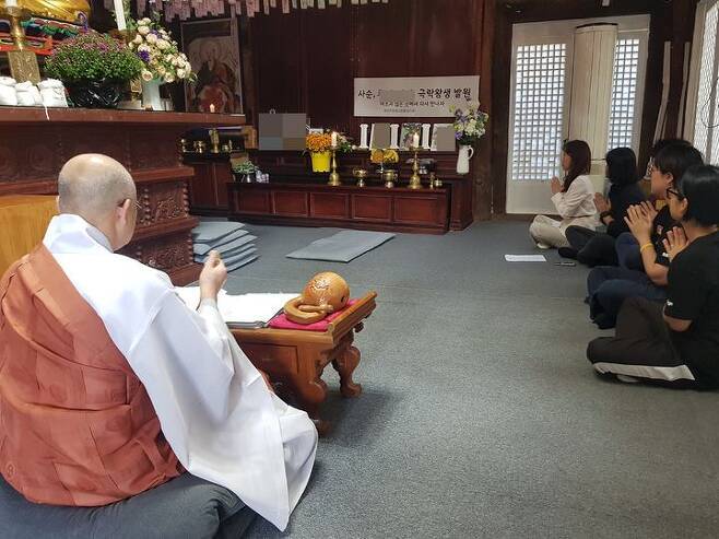 철창안에서 탈출한 사자 사살전 마지막 모습.jpg | 인스티즈