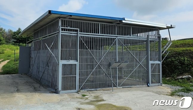 철창안에서 탈출한 사자 사살전 마지막 모습.jpg | 인스티즈