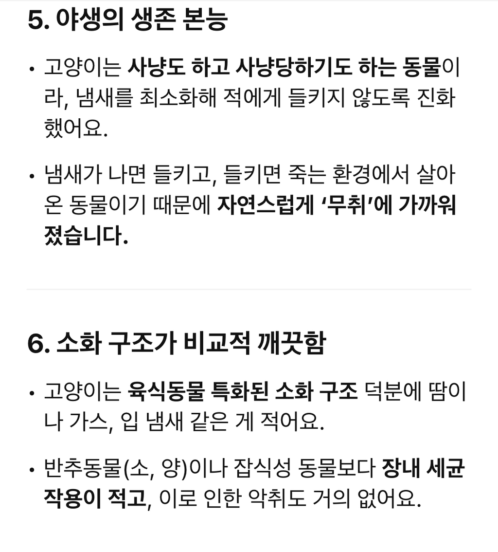 고양이 털 냄새가 신기한 집사 | 인스티즈
