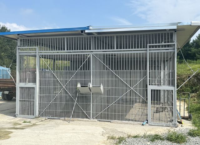 철창안에서 탈출한 사자 사살전 마지막 모습.jpg | 인스티즈