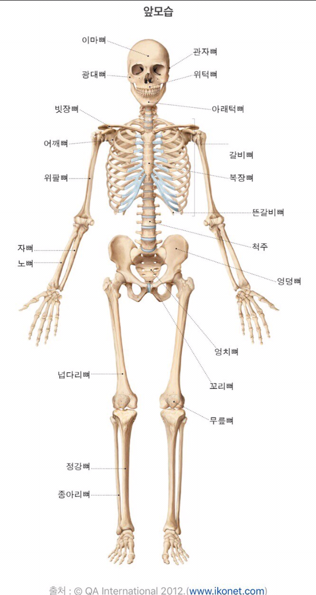 뼈 인대등 다쳐본 사람은 공감하는것 | 인스티즈