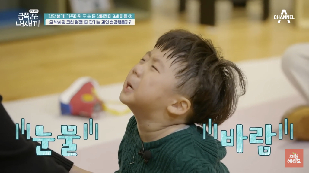 요즘 오은영 박사 얘기나오면 아주 질알 난거.....jpg | 인스티즈