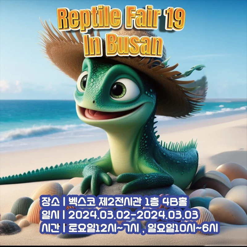 에코아트 이미지