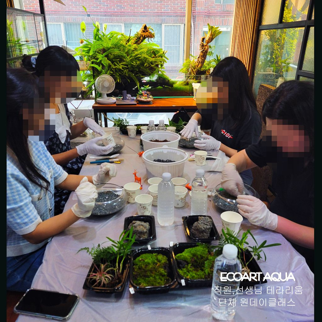 에코아트 이미지
