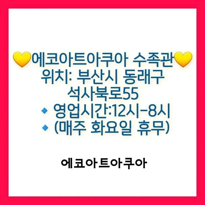 에코아트 이미지