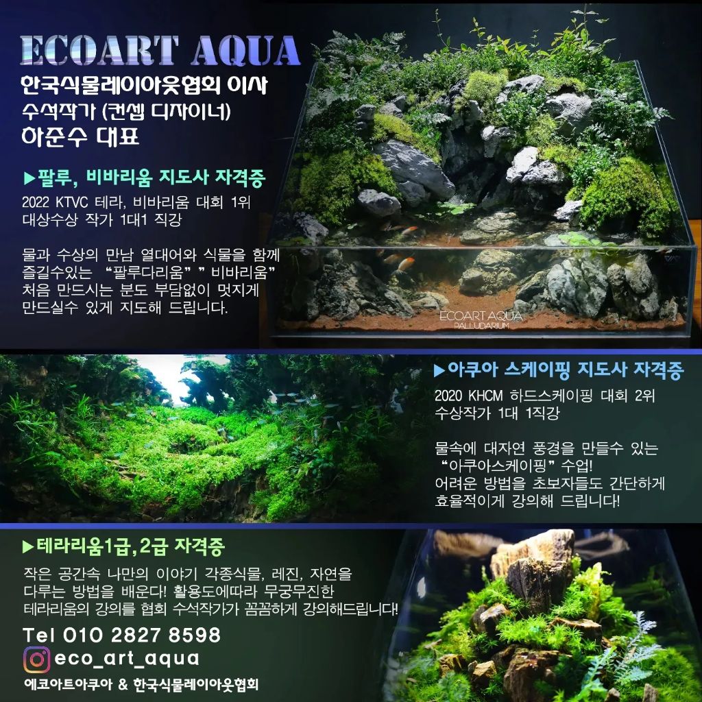 에코아트 이미지