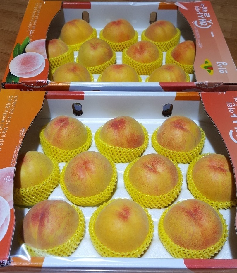 반디농원 이미지