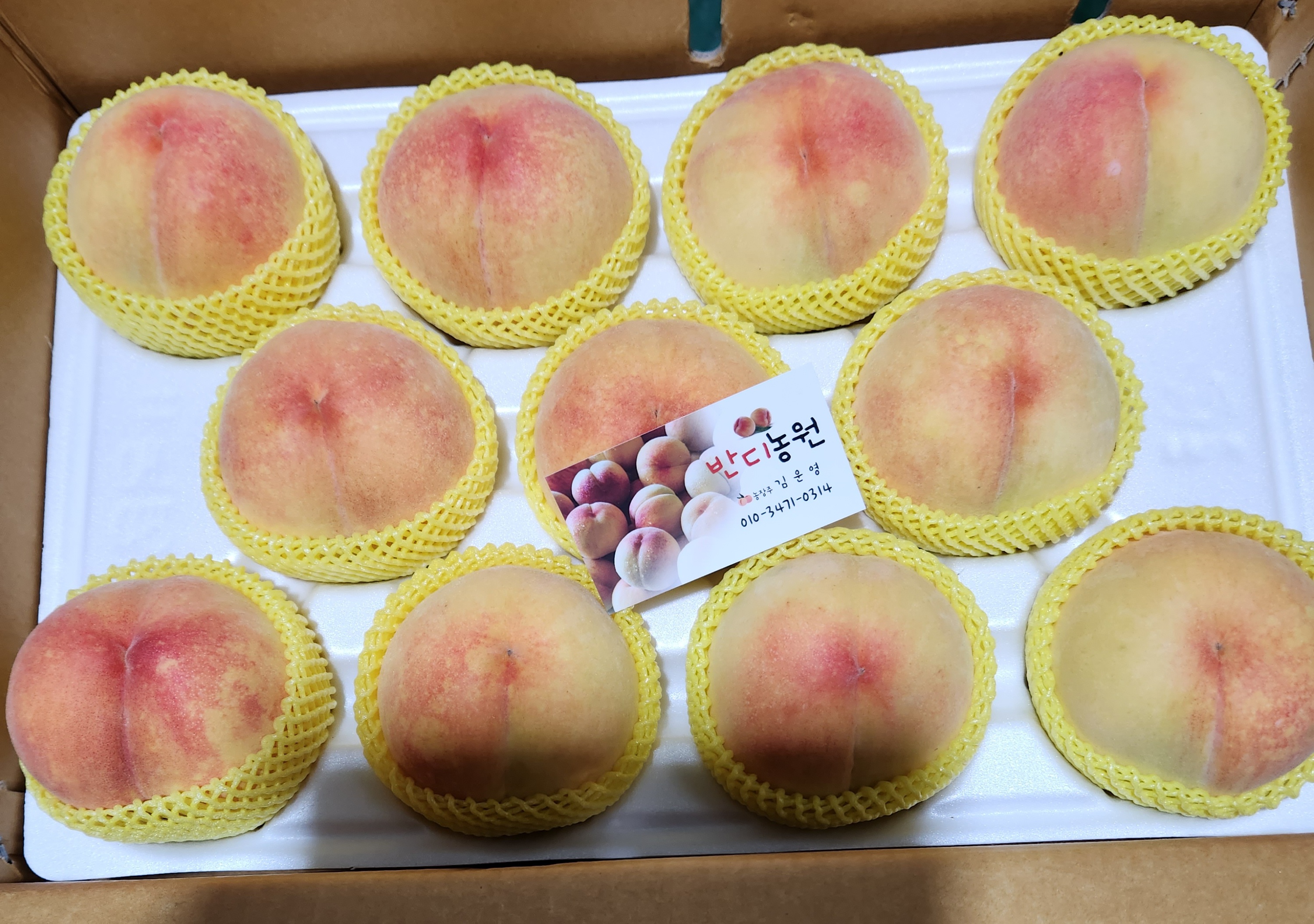 반디농원 이미지
