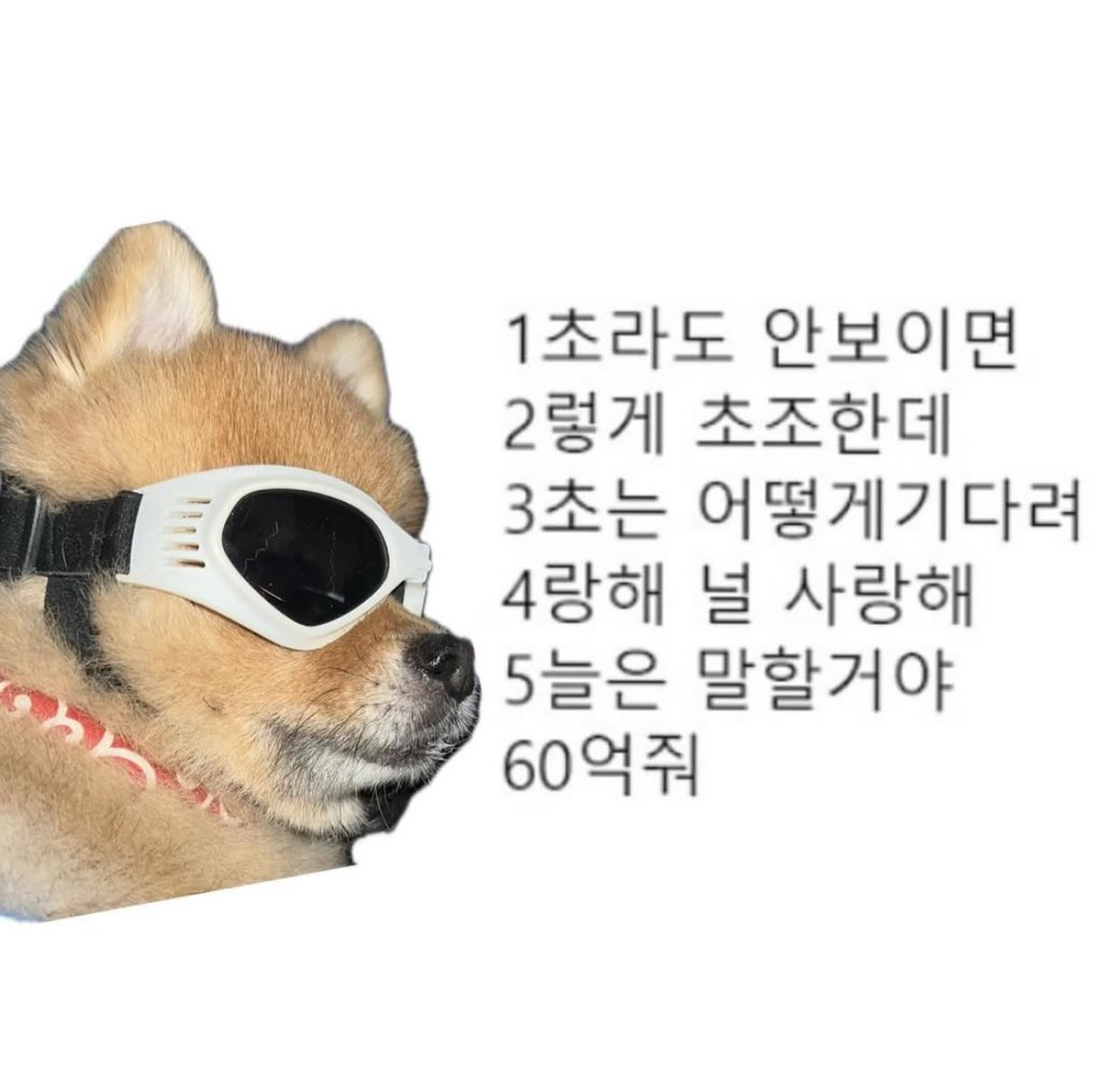 나현 이미지