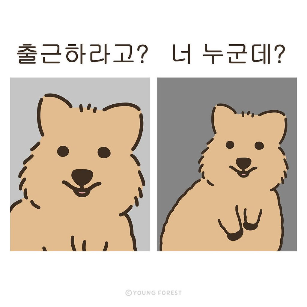 나현 이미지