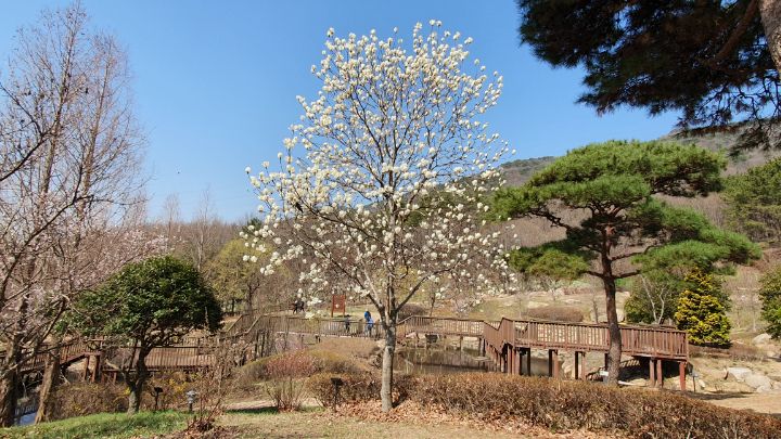 더봄날에 이미지