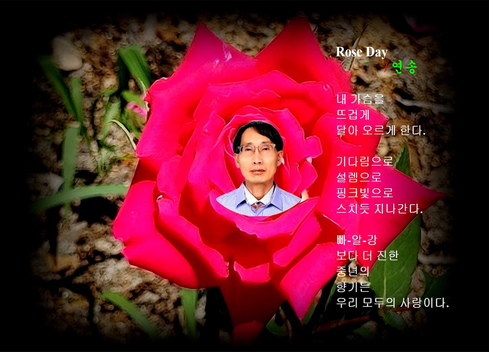 RoseDay 이미지