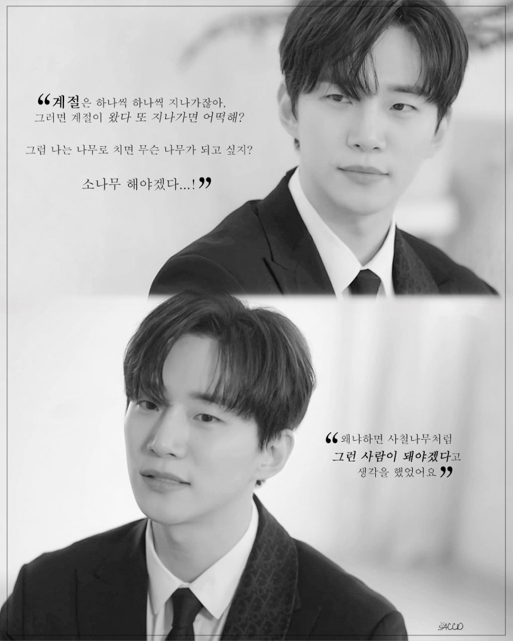 유키즈 이미지