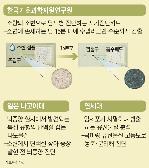 로리터 이미지