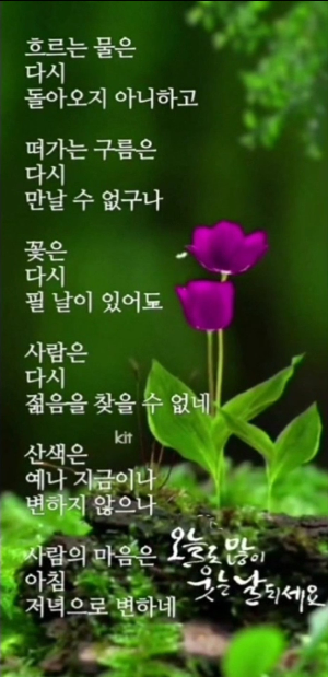미래로 이미지