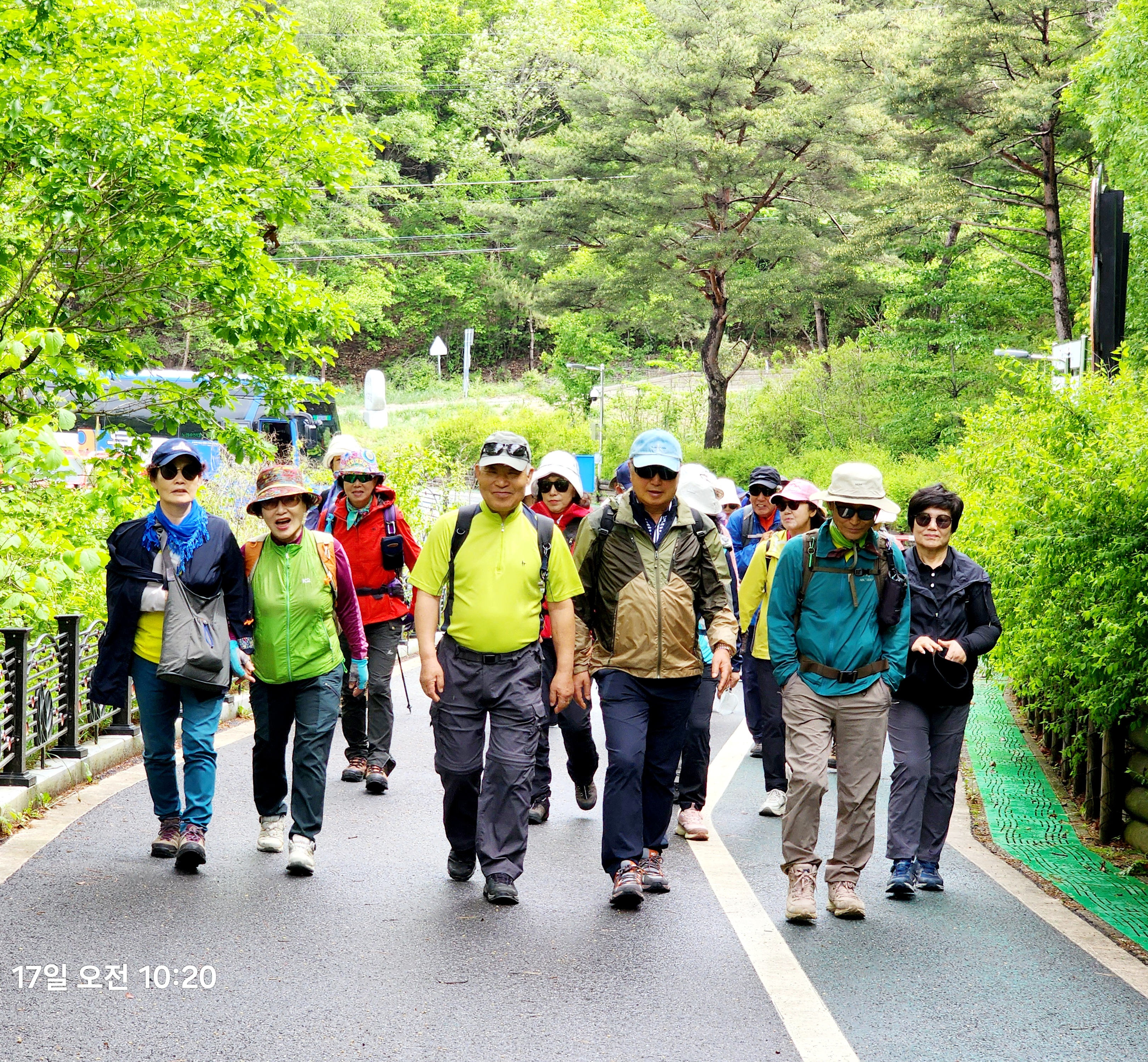 제천 치유의 숲 이미지