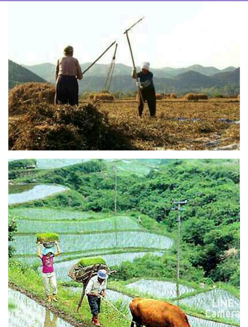 가을걷이 이미지