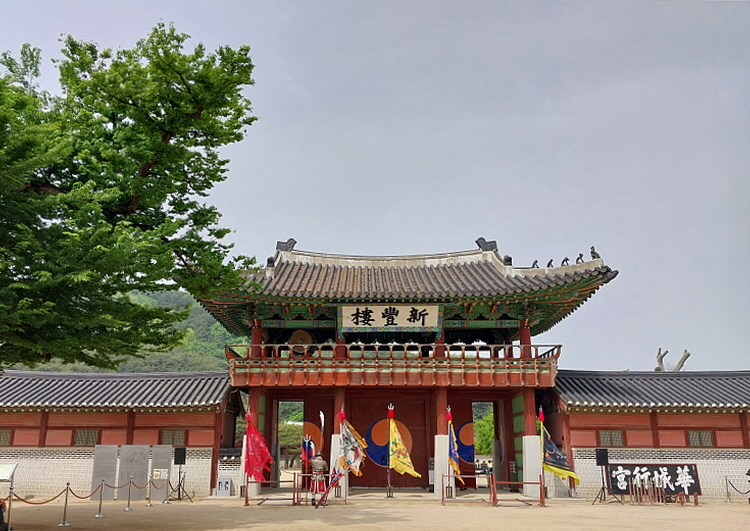 국립대구박물관 이미지
