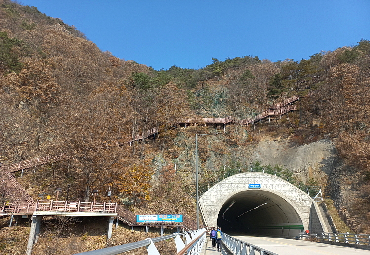 맑은다리 이미지