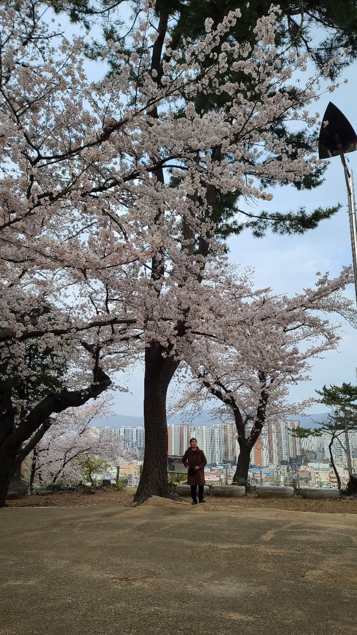 선하식당 이미지