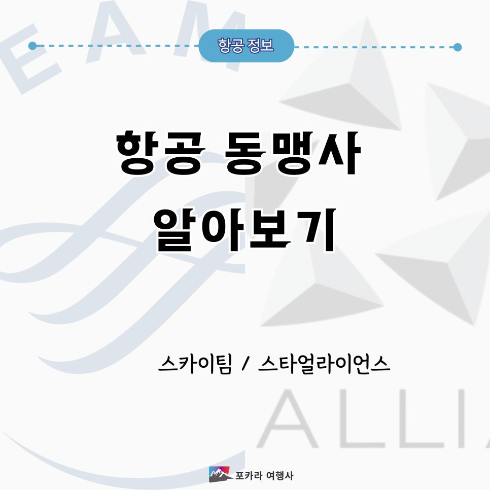 세계항공여행사 이미지