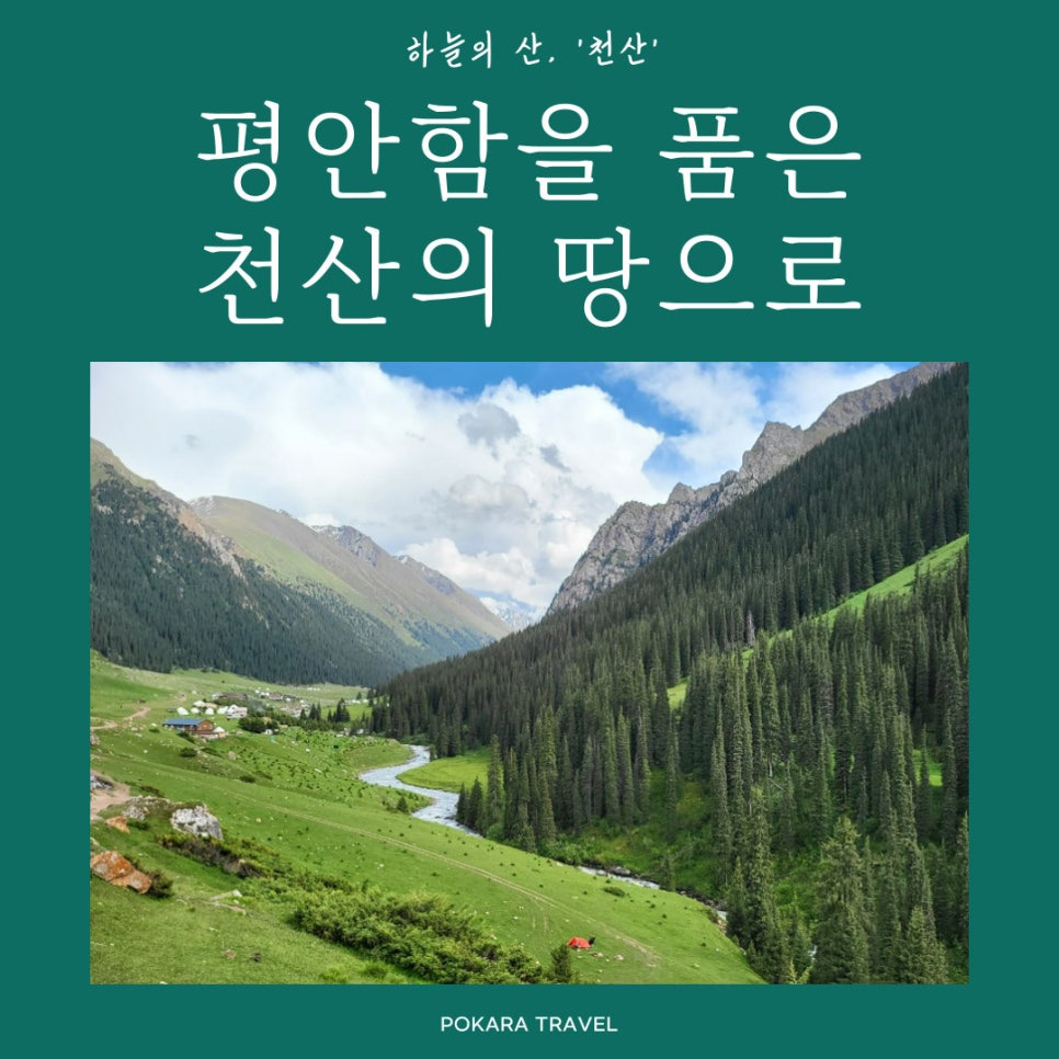 홍코너 이미지