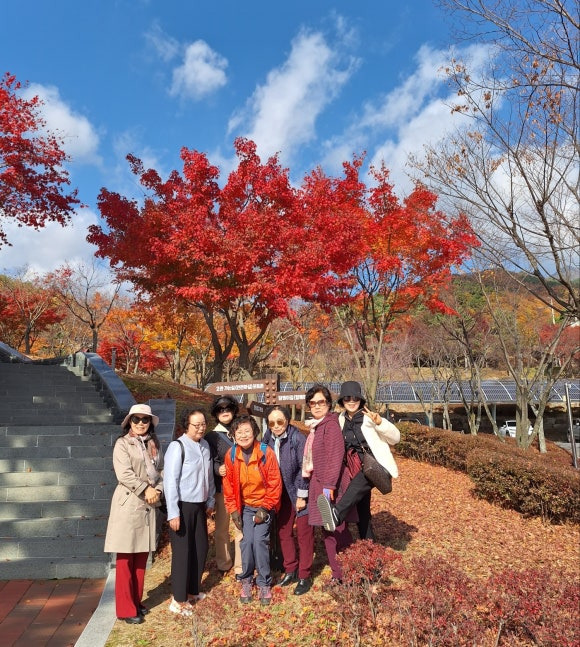 소풍 이미지