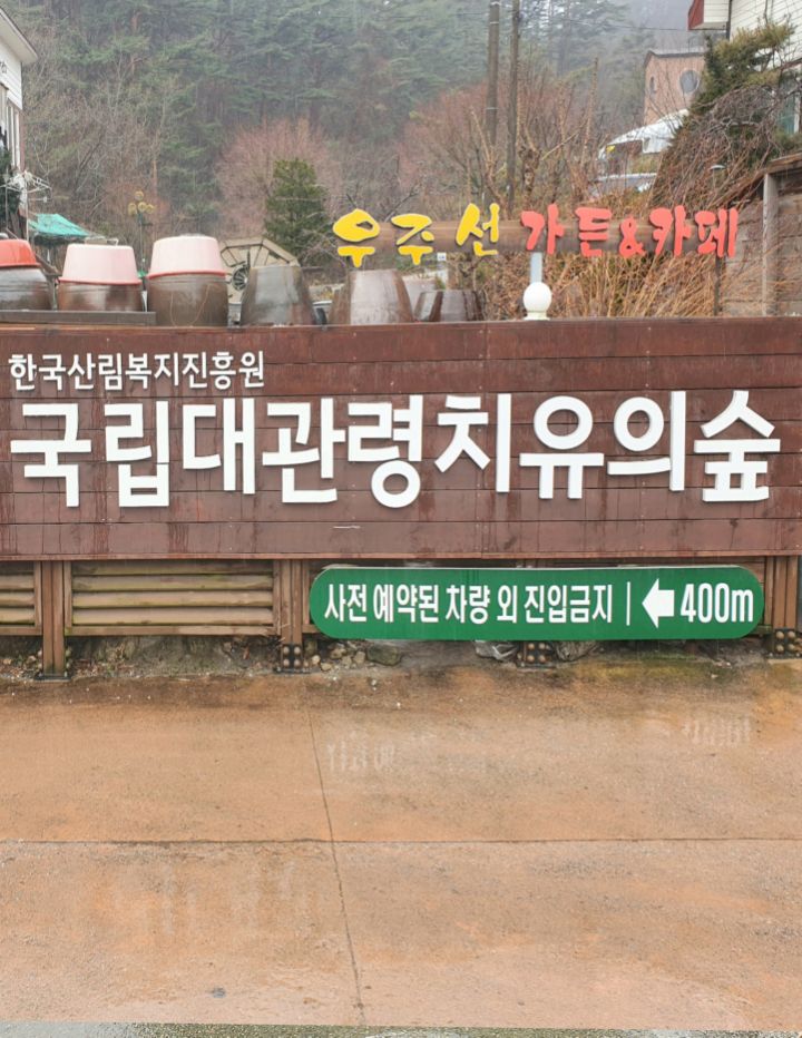 대관령 치유의 숲 이미지